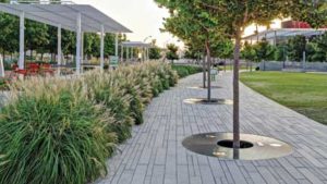 Commercial Landscaping