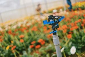 Irrigation Systems